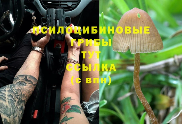 ECSTASY Абинск